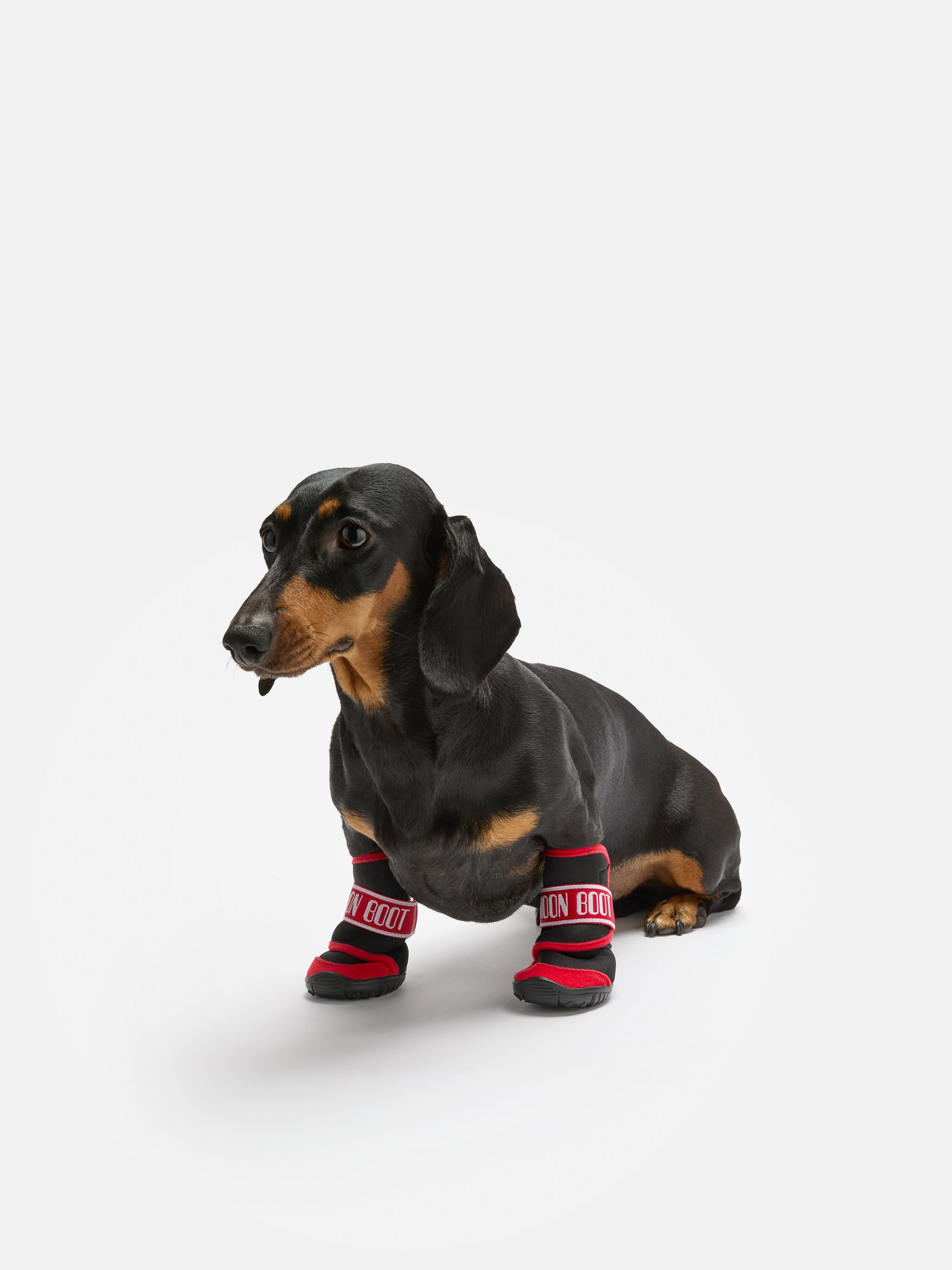 MOON BOOT X POLDO DOG COUTURE CHAUVE-FOOT ROUGE POUR CHIEN